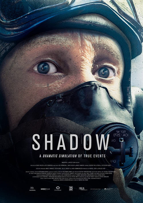 Movie poster for Shadow (2021)