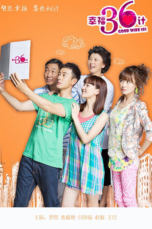 Good Wife 101 poster