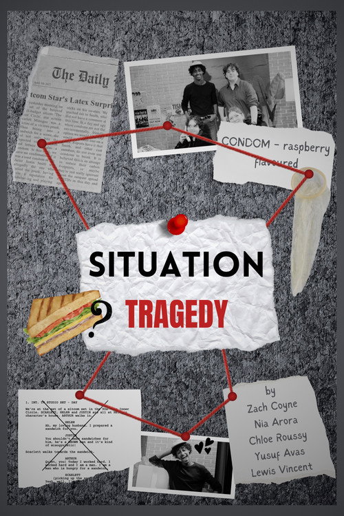 Movie poster for Situation Tragedy (2024)