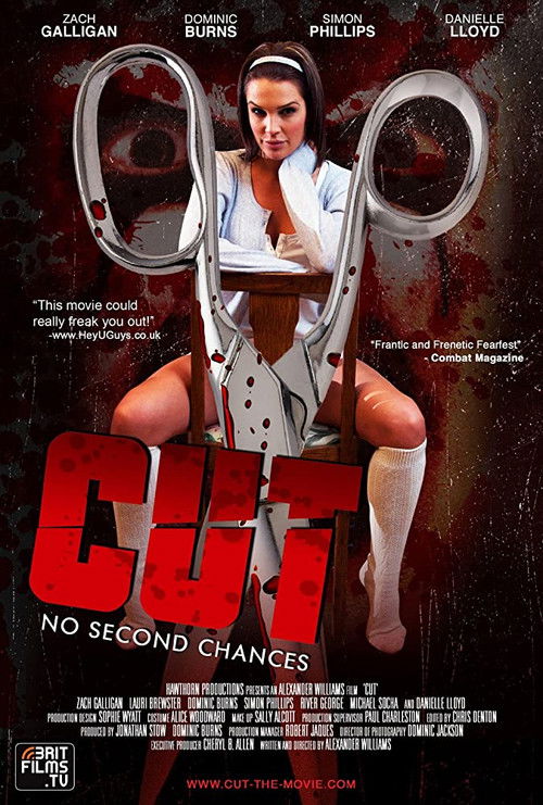 Movie poster for Cut (2010)