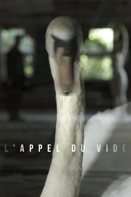 Movie poster for L'appel Du Vide (2017)