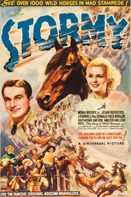 Movie poster for Stormy (1935)