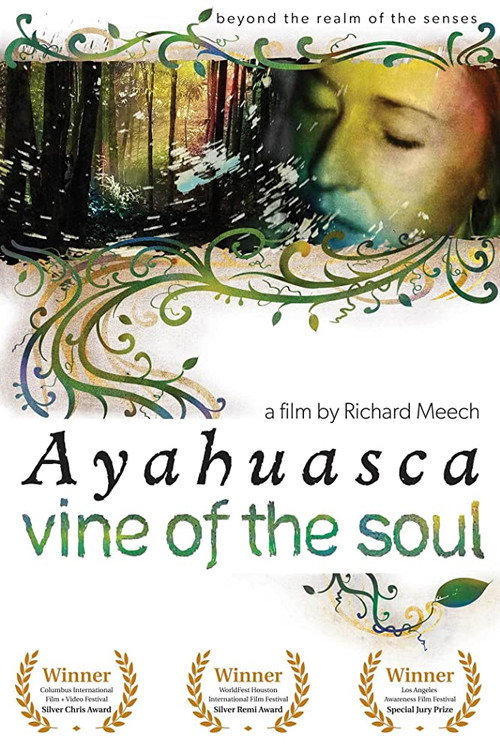 Movie poster for Vine of the Soul: Encounters with Ayahuasca (2010)