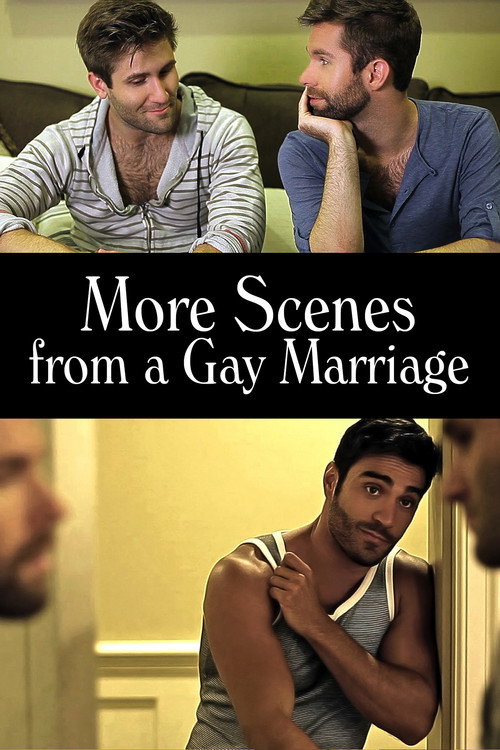 Movie poster for More Scenes from a Gay Marriage (2014)