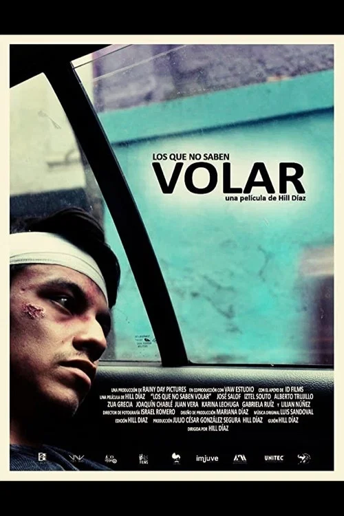 Movie poster for Los que no saben volar (2016)