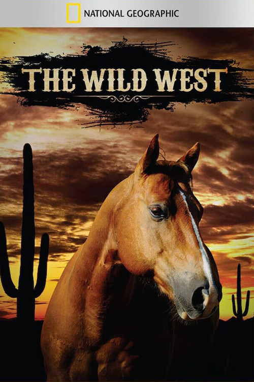 Series poster for The Wild West (2013)