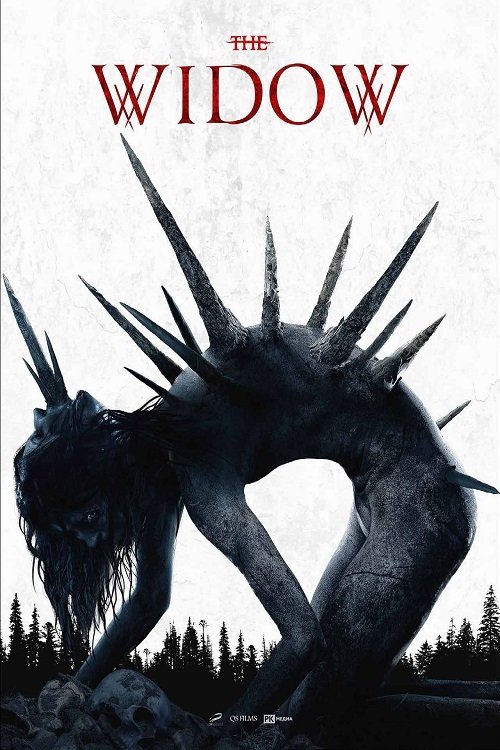 Movie poster for The Widow (2020)