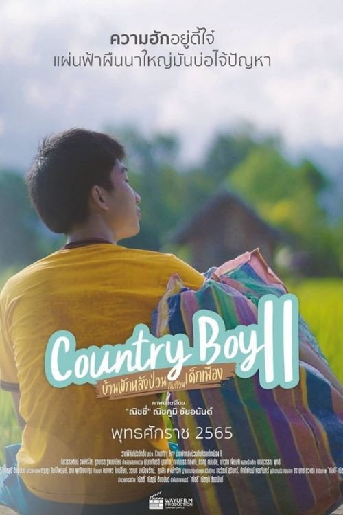 Movie poster for Country Boy 2 (2021)