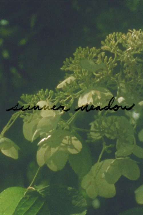 Movie poster for Summer Meadow (2024)