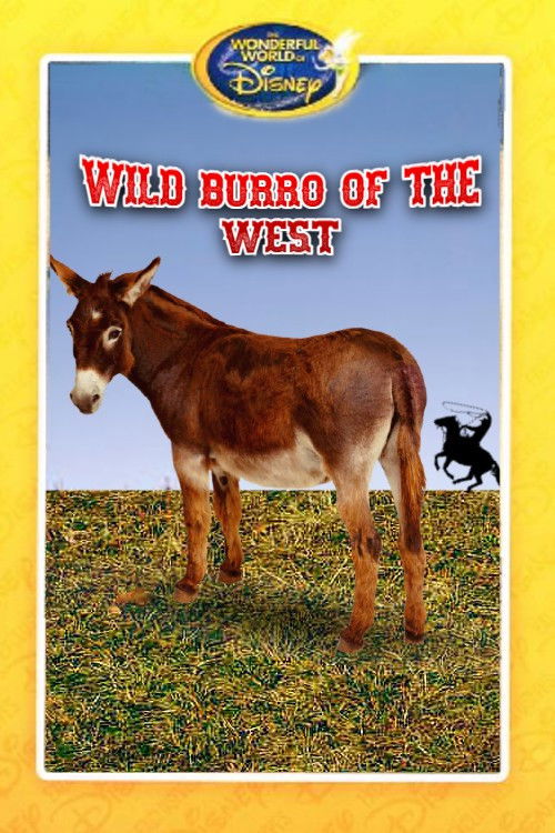 Movie poster for Wild Burro of the West (1960)