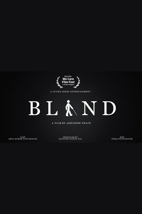 Movie poster for Blind (2019)