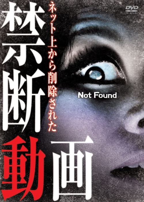 Movie poster for Not Found 1 (2011)