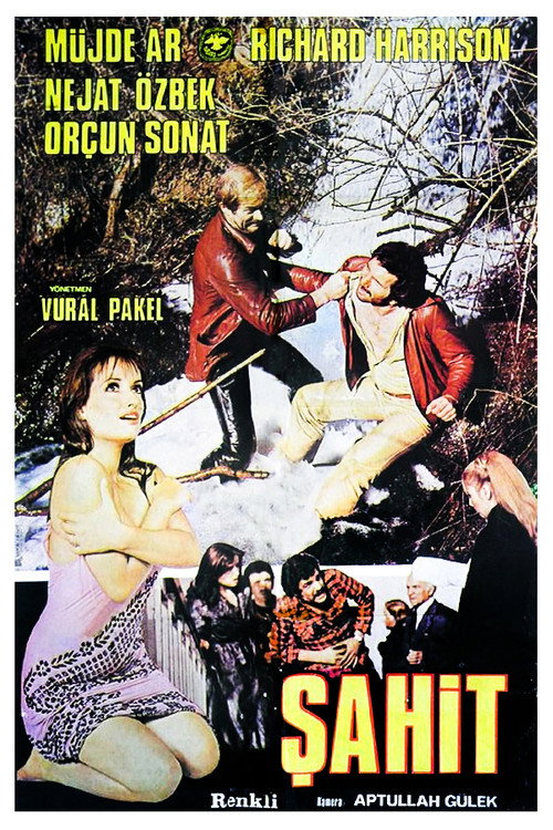 Movie poster for Şahit (1978)