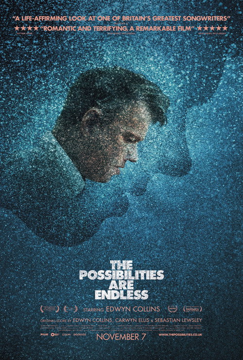 Movie poster for The Possibilities Are Endless (2014)