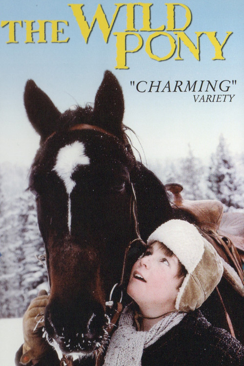 Movie poster for The Wild Pony (1983)
