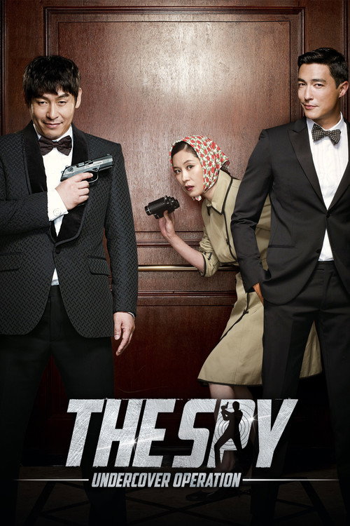 Movie poster for The Spy: Undercover Operation (2013)