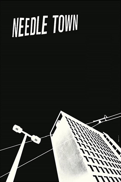 Movie poster for Needle Town (2015)