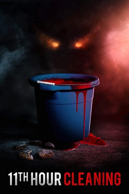 Movie poster for 11th Hour Cleaning (2022)