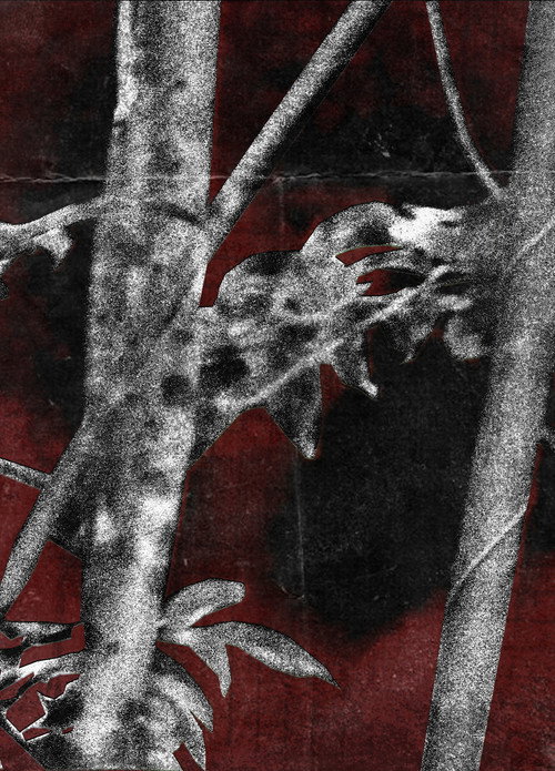 Movie poster for Ruídos Do Cerne (2025)