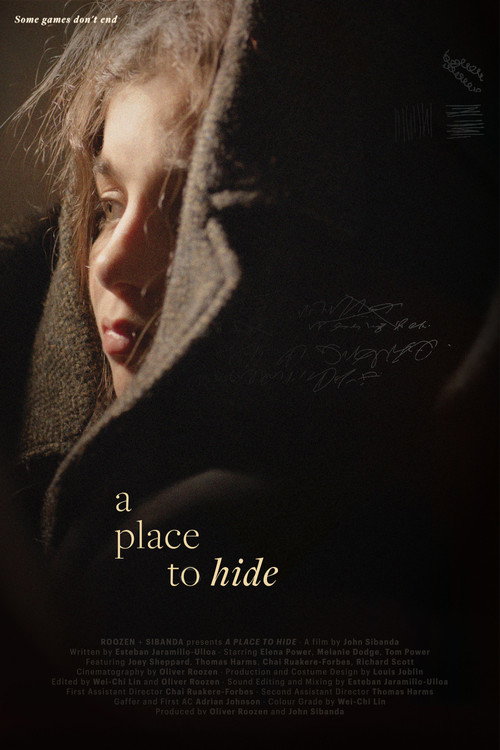 Movie poster for A Place to Hide