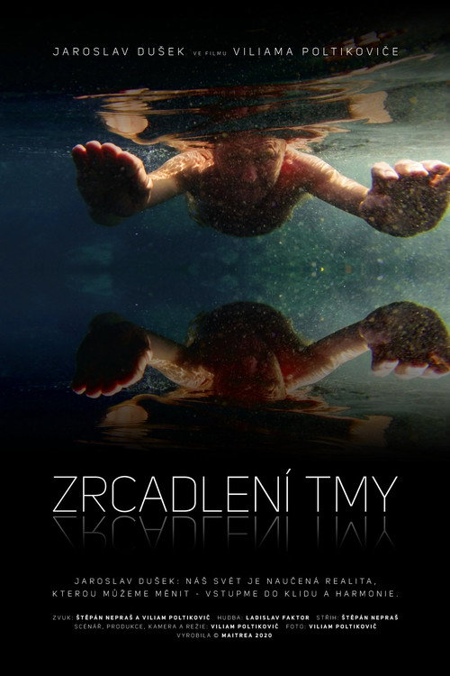 Movie poster for Zrcadlení tmy (2020)