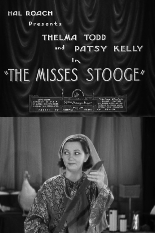 Movie poster for The Misses Stooge (1935)