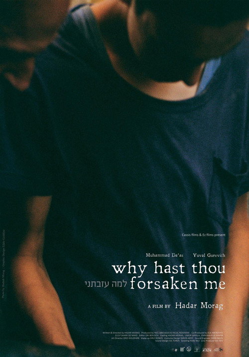Movie poster for Why Hast Thou Forsaken Me (2015)