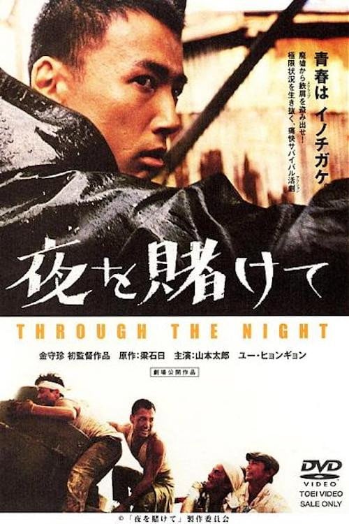 Movie poster for Through the Night (2002)