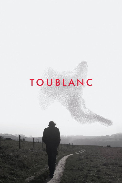 Movie poster for Toublanc (2017)