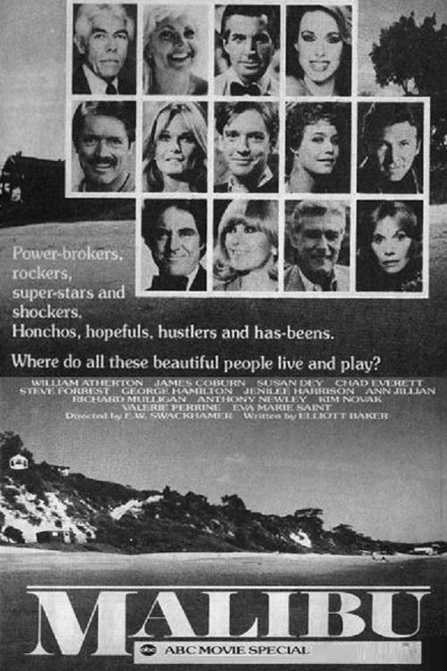 Movie poster for Malibu (1983)