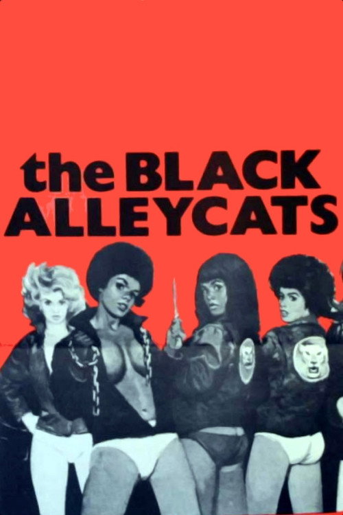 Movie poster for The Black Alley Cats (1973)