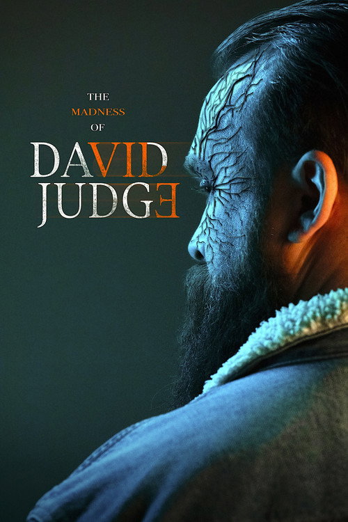 Movie poster for The Madness of David Judge (2025)
