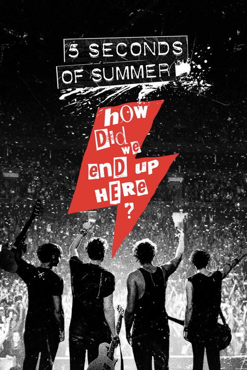 Movie poster for 5 Seconds of Summer: How Did We End Up Here? (2015)