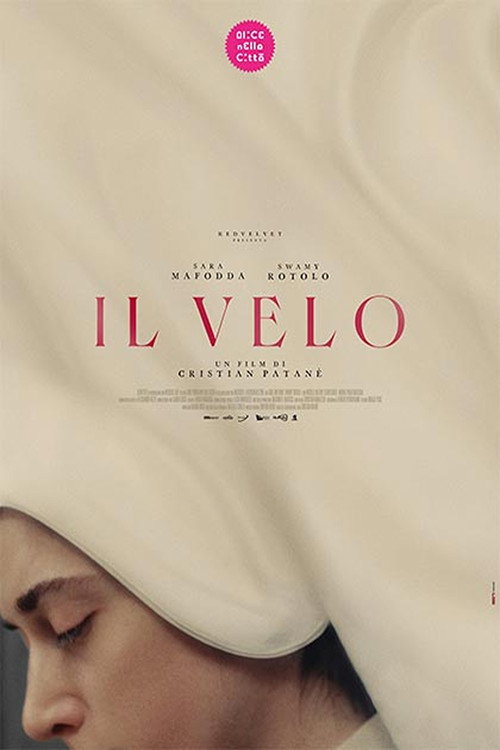 Movie poster for The Veil (2025)