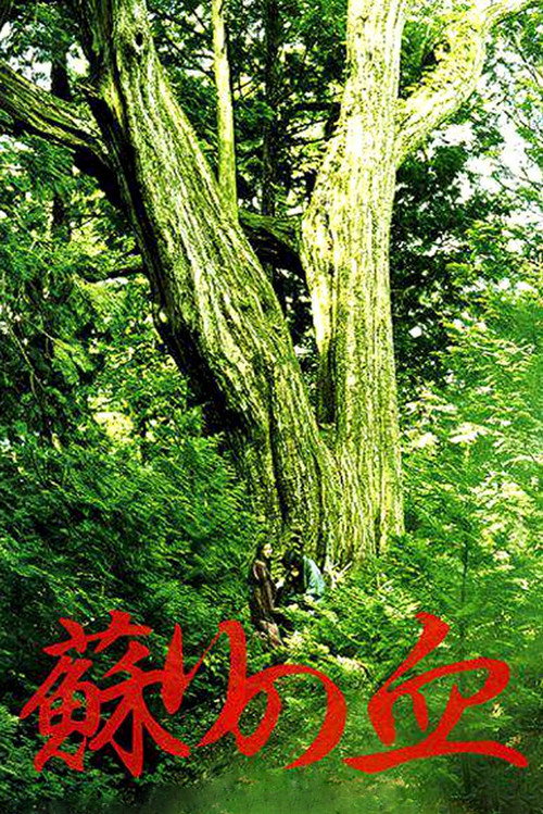 Movie poster for The Blood of Rebirth (2009)