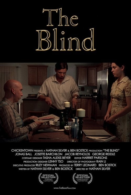 Movie poster for The Blind (2009)