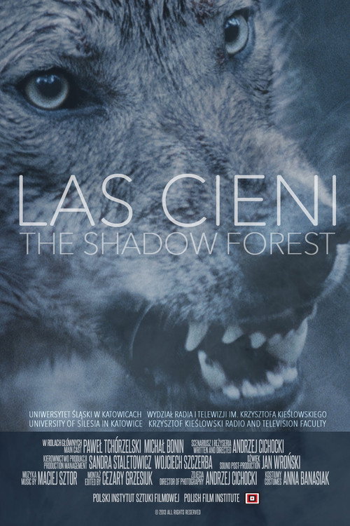 Movie poster for Las cieni (2014)