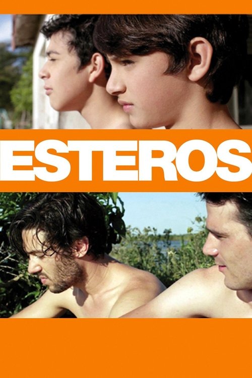 Movie poster for Esteros (2016)