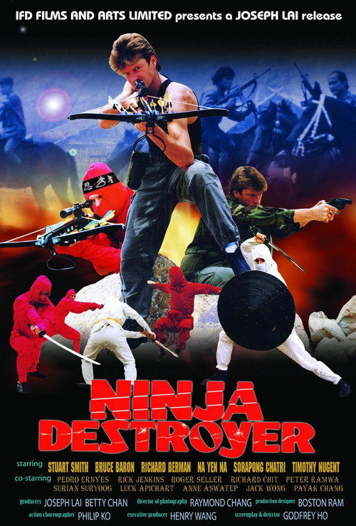 Movie poster for Ninja Destroyer (1987)