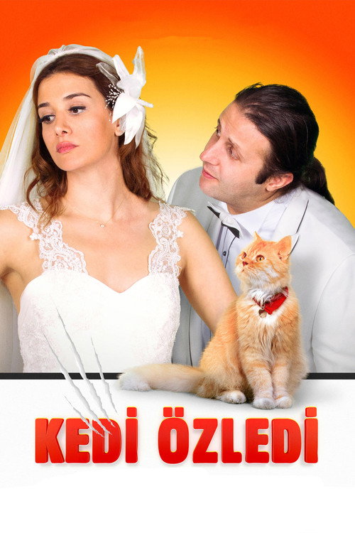 Movie poster for Kedi Özledi (2013)