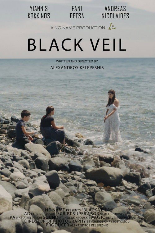 Movie poster for Black Veil (2023)