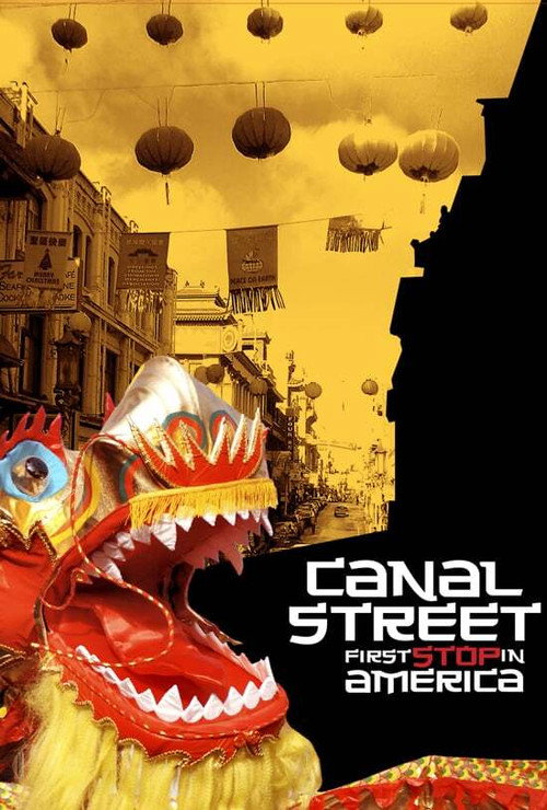 Movie poster for Canal Street: First Stop in America (1998)
