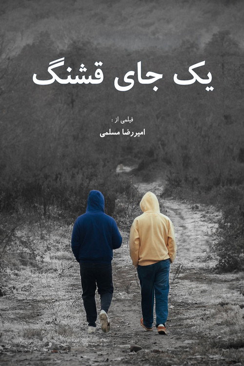 Movie poster for A Nice Place (2025)