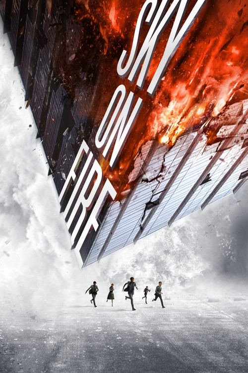 Movie poster for Sky on Fire (2016)