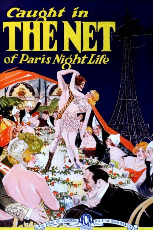 Movie poster for The Net (1923)