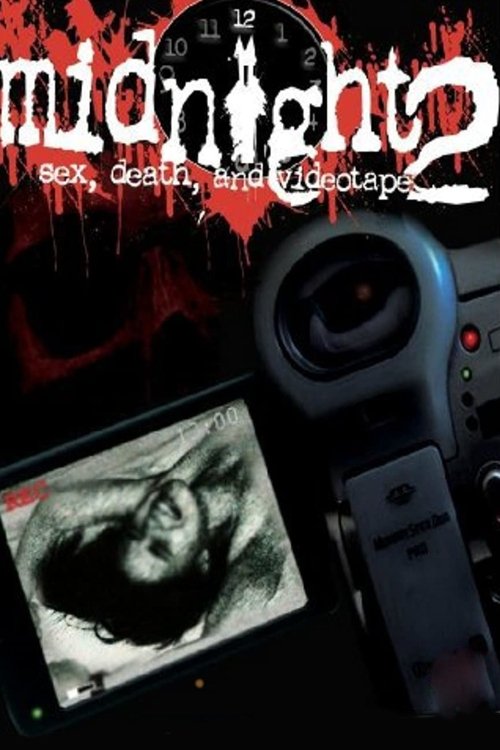 Movie poster for Midnight 2 (1993)
