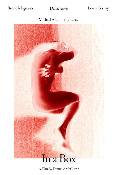 Movie poster for In A Box
