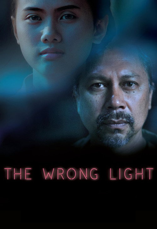 Movie poster for The Wrong Light (2017)