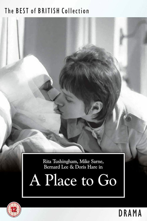 Movie poster for A Place to Go (1963)