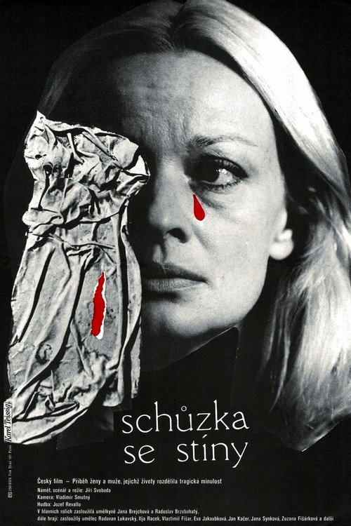 Movie poster for Schůzka se stíny (1983)